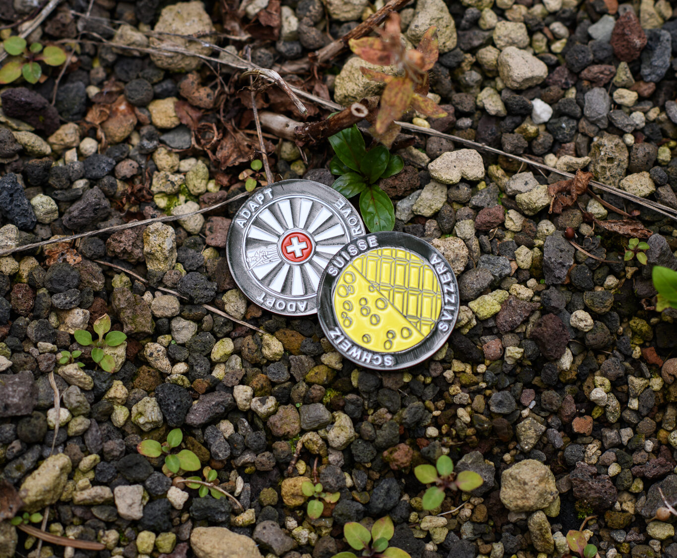 Chocolate and Cheese Coin