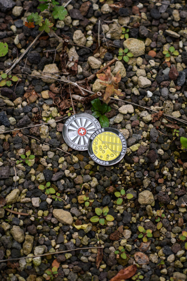 Chocolate and Cheese Coin